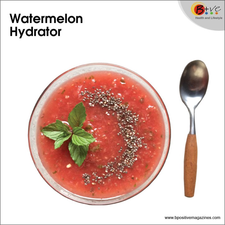Watermelon Hydrator